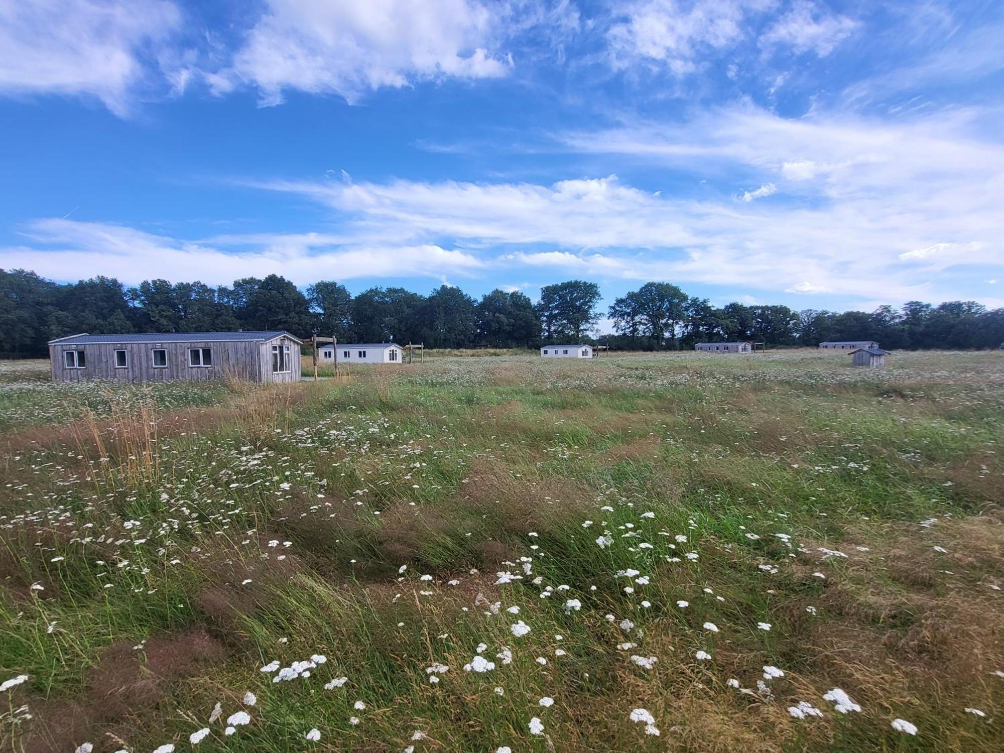 헤이수이엔 Hoeve Twente - De Buizerd 빌라 외부 사진