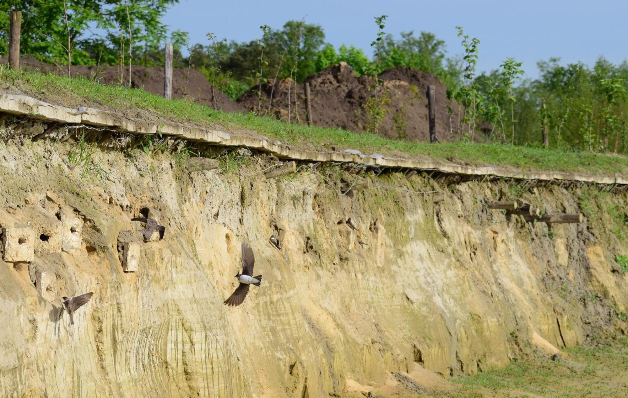 헤이수이엔 Hoeve Twente - De Buizerd 빌라 외부 사진